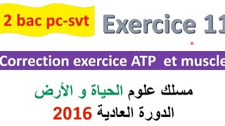 2 bac svt pc CORRECTION exercice 11 svt  ATP et muscle normale PC 2022 [upl. by March]