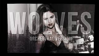 Wolves Selena Gomez Orchestral Cover [upl. by Amii629]