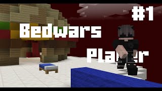 How I Queued With The Best Bedwars Player [upl. by Dare]