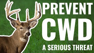 How Hunters Could Introduce CWD to New York [upl. by Eekcaj]