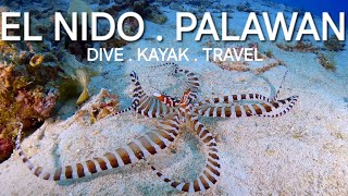 El Nido Diving  Palawan 2024  Philiphines  Wunderpus  Mimic Octopus  Gopro 4K60P [upl. by Rimola]