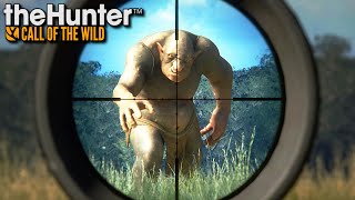 Polowanie na TROLLA  theHunter Call of the Wild 84 [upl. by Eitsim209]