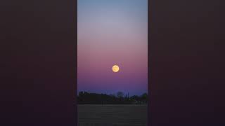 Full Beaver Supermoon Rise through Belt of Venus Timelapse Nov 15 2024 Moorestown NJ beavermoon [upl. by Nylirrehs]