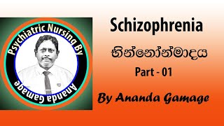 schizophrenia භින්නෝන්මාදය part 01 [upl. by Alor]