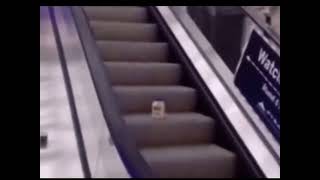 mAyoNnaiSe oN An eScaLaTor [upl. by Anib]