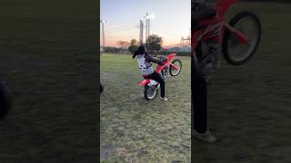 Crf150r Wheelie Gone wrong wheelies crf150r entertainment youtubeshorts shortsfeed shortvideo [upl. by Adlai]