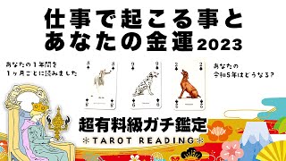 【タロット占い】2023年💫仕事で起こる事とあなたの金運を超全力ガチ鑑定！！🦄✨✨1月から12月まで1ヶ月毎に詳細深掘りリーディング🍀✨✨来年あなたに何が起こる？【当たる３択占い】 [upl. by Norud]