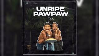 ZLATAN  UNRIPE PAWPAW OFFICIAL LYRICS [upl. by Eiznek]