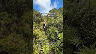 Cea mai frumoasa drumetie din Hawaii Merita🌴🌺 hike hawaii mountainlover short [upl. by Ilagam]