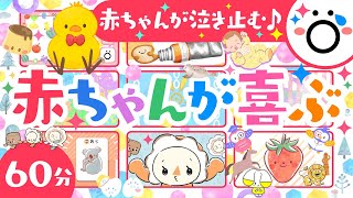 【赤ちゃんが喜ぶ歌音楽メドレー♪】赤ちゃんが泣き止む！童謡│笑う知育アニメ🌲ö│0歳1歳2歳3歳│乳児・幼児向け【こどものうた】 [upl. by Erdnassac866]