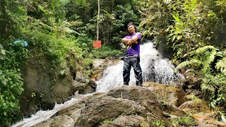 Lata Beringin amp Jeram Tinggi 2 Falls in 1 Weekday [upl. by Island]