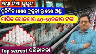 Poultry Farming ଅଣ୍ଡା ଦିଆ କୁକୁଡ଼ା ମାସକୁ ରୋଜଗାର 4050 ହଜାର [upl. by Noivaz]