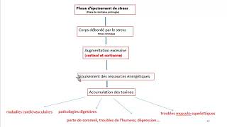 Cours dEndocrinologie vidéo 5  Hormones de la Médullosurrénale [upl. by Ara]