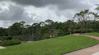 Morikami Museum amp Japanese Gardens morikami delraybeachfl [upl. by Ardnnek614]