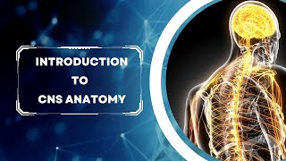 Introduction to CNS Anatomy [upl. by Dix769]