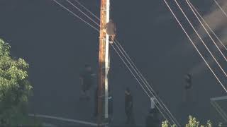 California Man Climbs Pole Wont Come Down [upl. by Imuya443]