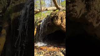 The Grotto at Glen Helen Nature Preserve [upl. by Bellanca]