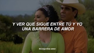 Noelia  Como Duele Barrera de Amor Letra  Barrera de amor [upl. by Asirap862]