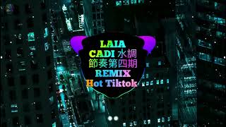 LAIA CADI 水調節奏第四期 DJ小G Remix Tiktok 2024 迷幻旋律 DJ抖音热播 Feira De Acari remix  越南鼓DJ抖音版 水調節奏第四期 流水調 [upl. by Euqinomahs]