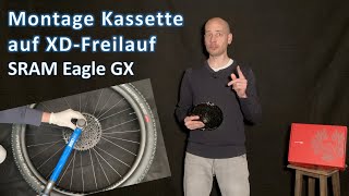 Kassette am FahrradMountainbike wechseln  XDFreilauf  SRAM Eagle GX Kassette [upl. by Yaner]