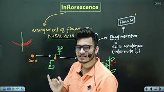 L4 Cymose amp Racemose Inflorescence  Morphology in Flowering Plants  11th Class Biology ft Vipin [upl. by Sofko891]