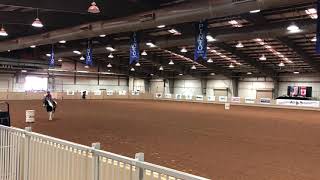 Barrel Racing  WalkTrot  Pinto World 2018  June 2018 [upl. by Dannon]