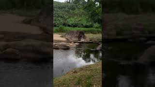 Cachoeira do Salto em Miracatu SP [upl. by Hanej460]