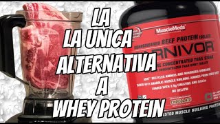 CARNIVOR PROTEINA REVIEW  PRUEBA DE SABOR MUSCLEMEDSRX [upl. by Jelle]