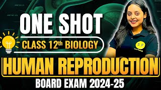 Human Reproduction Class 12 One Shot  Class 12th Biology NCERT Chapter 3 CBSE Board with Sonam Maam [upl. by Elnar160]