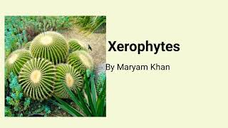 Xerophytes [upl. by Yennaiv]