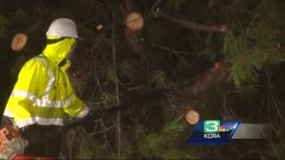 Fallen tree blocks roadway in Davis [upl. by Otanutrof649]