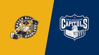 USHL  Green Bay Gamblers vs Madison Capitols Live on FloHockey [upl. by Bywaters]