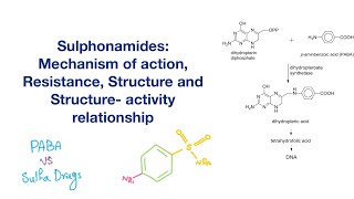 Sulfonamides Structure SAR Mechanism of action and Resistance  Infectious Disease [upl. by Carleen]