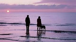 Submarine  Piledriver Waltz  Lyrics ingles y español [upl. by Foster]