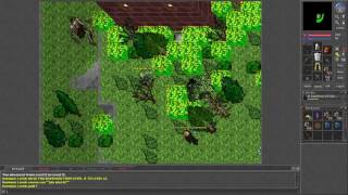 Tibia 72 Low level team hunting at Femor Hills [upl. by Harmon530]