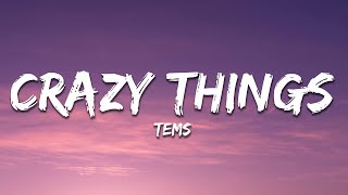 Tems  Crazy Tings Lyrics [upl. by Ynned298]