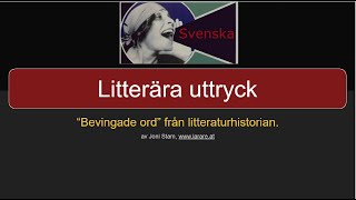 Webblektion litterära uttryck [upl. by Ivanah239]