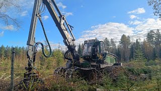 koivujen poisto istutetun kuusen taimikon päältä John Deere 1170G IBC [upl. by Amethist536]