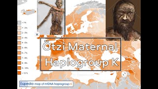 Ötzi Maternal Haplogroup The most distribution 🌍 of maternal haplogroup K mtdna regions [upl. by Barthel]