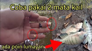 🔴 Rangkaian 2 Mata Kail Ternnyata Ampuh Juga  Mancing Nila Lobang 🔴 [upl. by Holland]