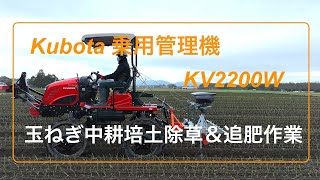 KV2200玉ねぎ中耕作業 [upl. by Darnell]