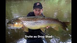 Grosse truite au drop shad [upl. by Janot]