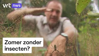 Minder insecten deze zomer en daling is al enkele jaren gaande quotDiversiteit komt in gevaarquot [upl. by Okimat]