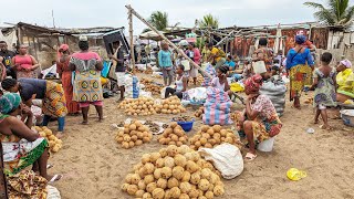 Rural market day in Togo Aflao market where Nigerians  Ghanaian and Togolese shop in west Africa 🌍 [upl. by Anatlus360]