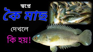 স্বপ্নে কই মাছ দেখলে কি হয়  sopne koi mach dekhle ki hoy [upl. by Jillana]