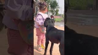 September cute cutebaby September shafa safawala shafa videosafa videoshortsshafa cartoon [upl. by Mendie]