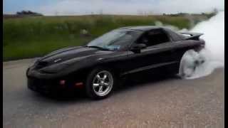 2000 Procharged Fully Built LS1 Trans Am Burnout [upl. by Karly]