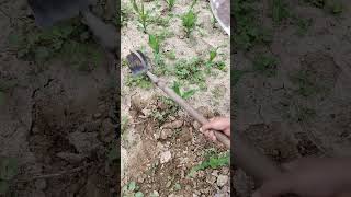 Hand hoe  Soil Trenching spade  Shovel [upl. by Nnahteb]