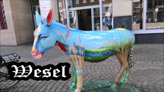 Wesel [upl. by Enovahs]