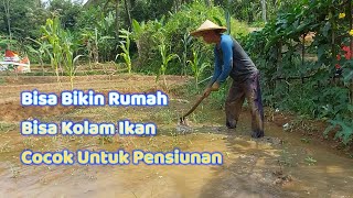 Dijual Sawah Cocok Untuk Pensiunan [upl. by Nodarb]